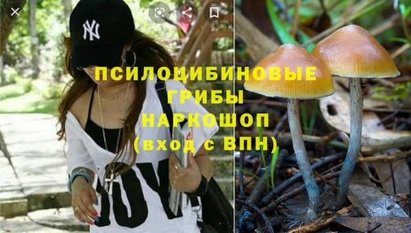 герыч Вяземский