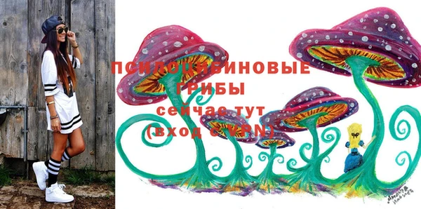 герыч Вяземский