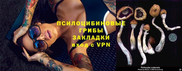 герыч Вяземский